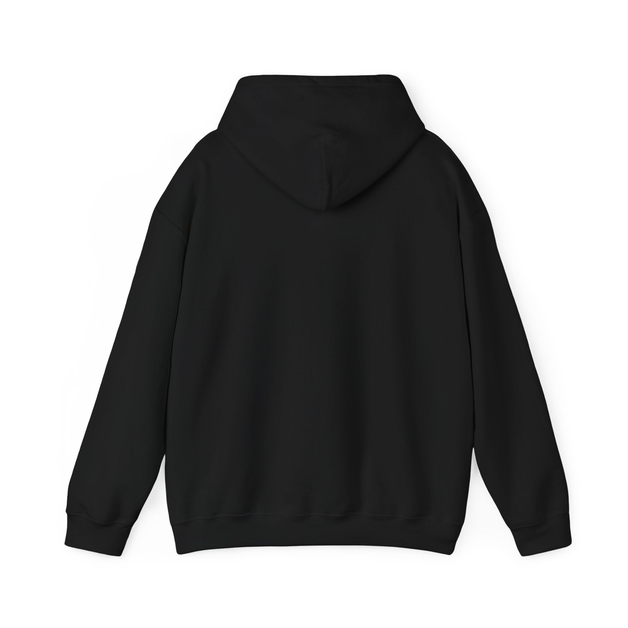 Hooded Sweatshirt with Bold Line Design