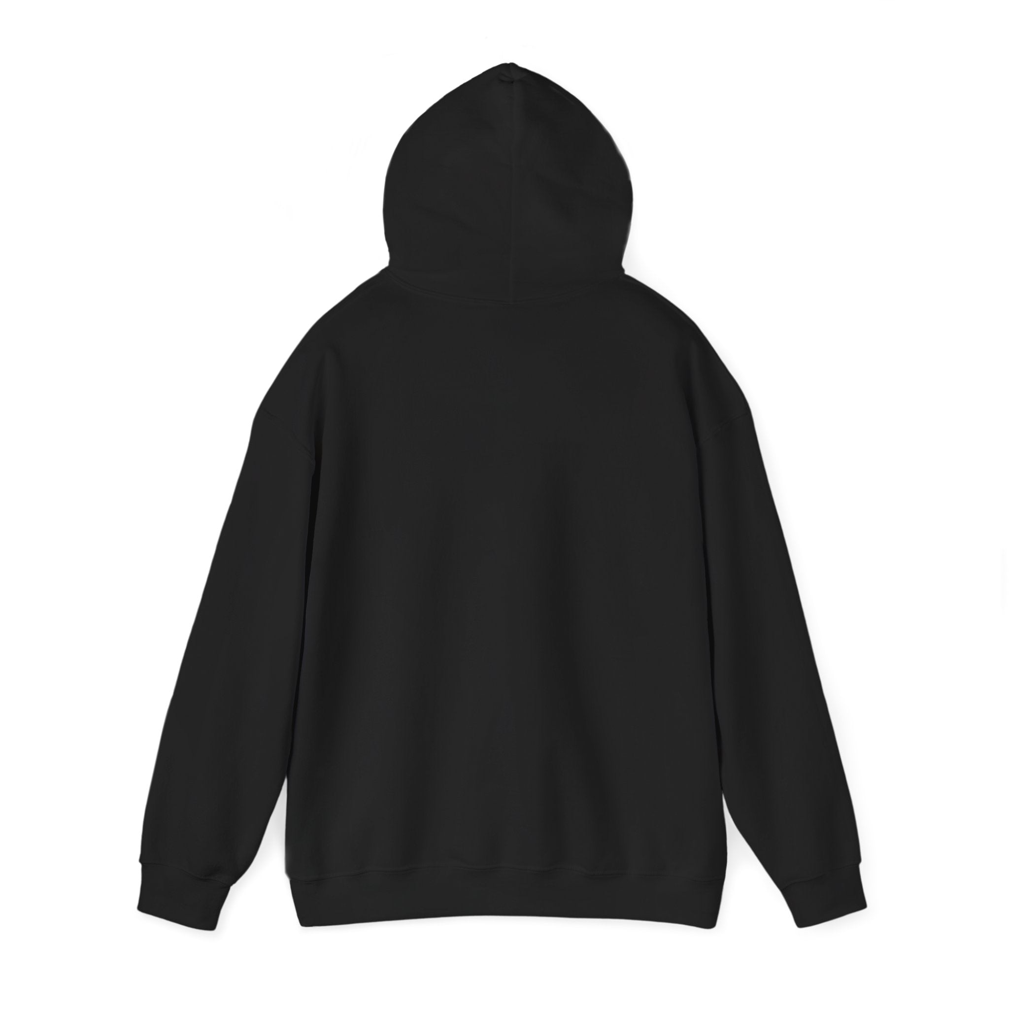 Hooded Sweatshirt with Bold Line Design